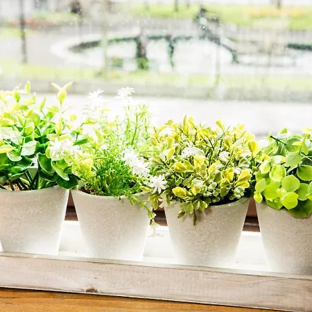 Tipperary House Konukevi