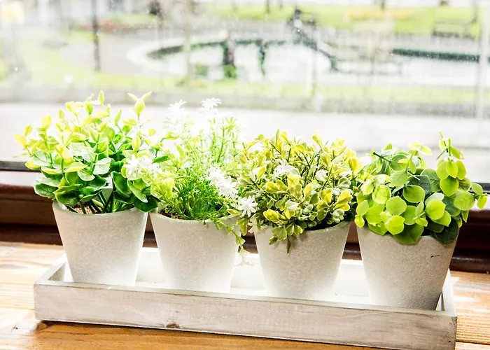 Tipperary House Maison d'hôtes