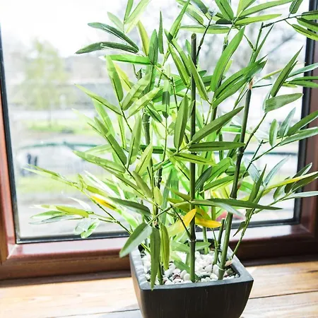 Tipperary House 2* דבלין