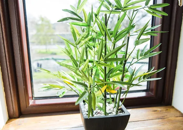 Tipperary House 2* דבלין